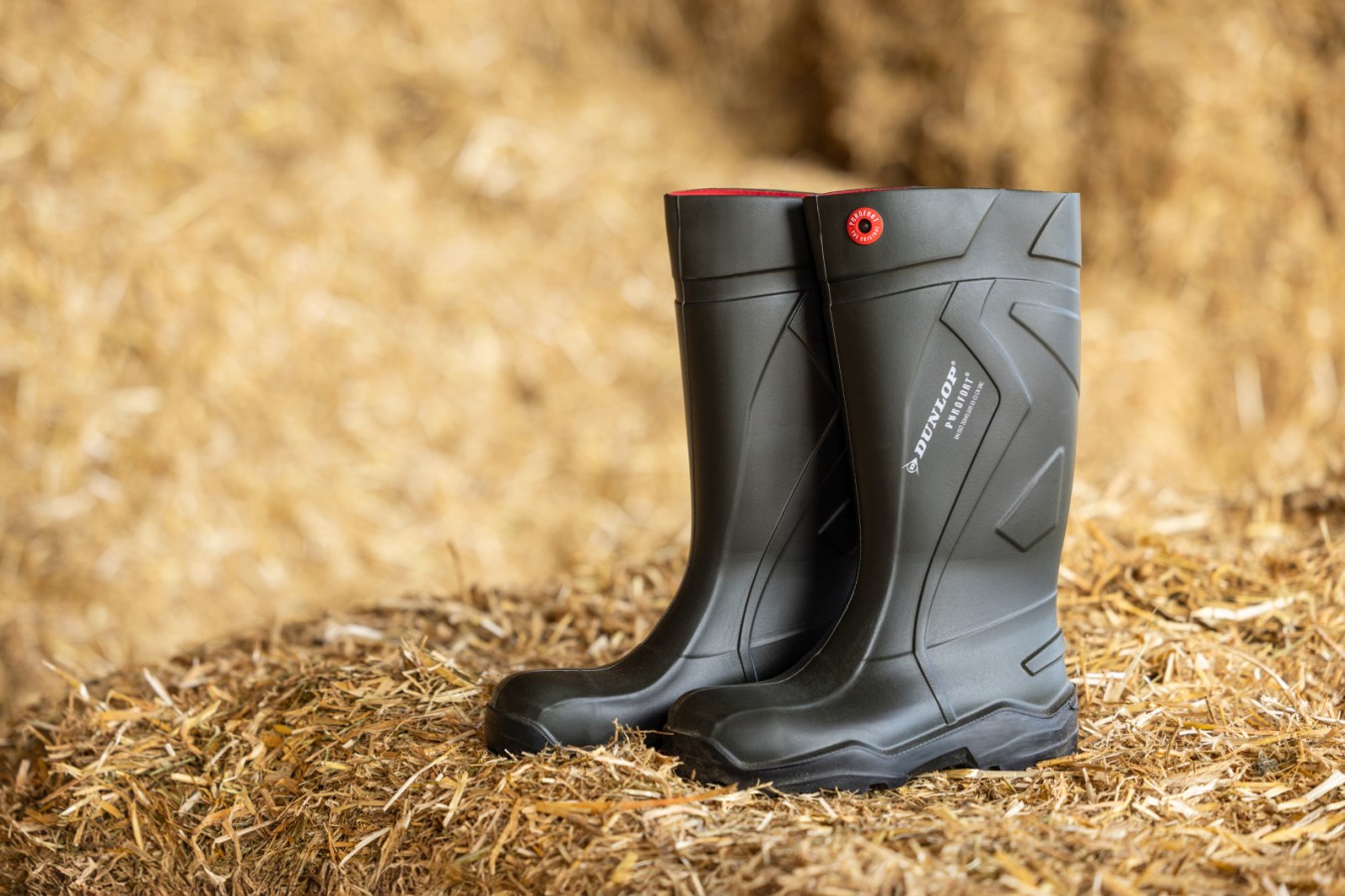 publicimageltdブーツ Dunlop® Safety Boot Purofo  - Albert Kerbl GmbH