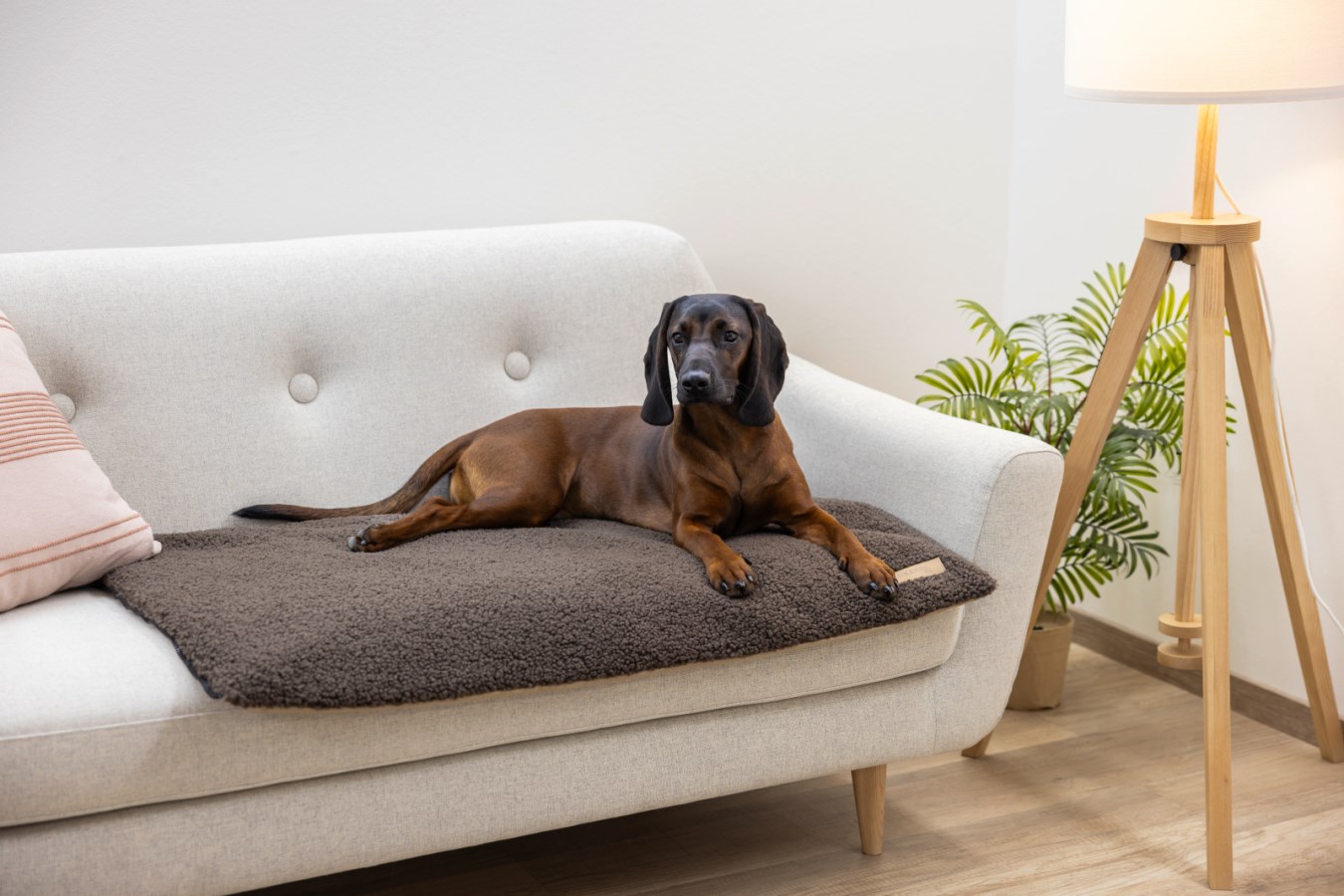 100x200 Memory Foam Matras - Hoogte 30 Cm - Orthopedisch - H4 Stijfheid Anna Model