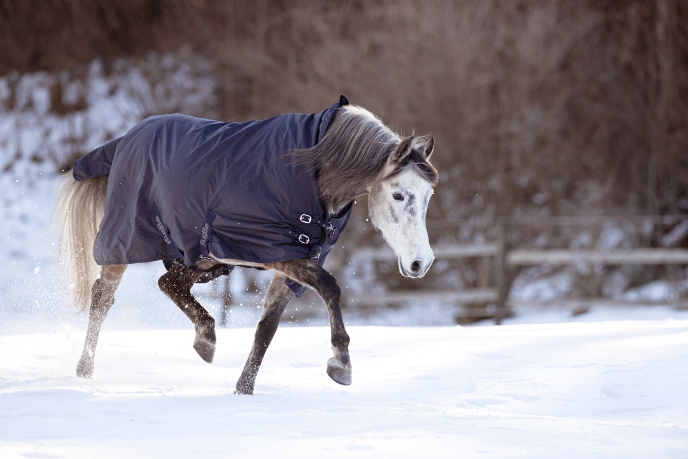 Outdoor Horse Blanket RugB  - Albert Kerbl GmbH