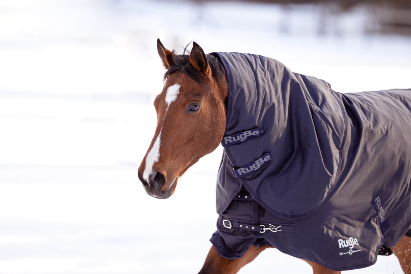 Outdoor Horse Blanket RugB  - Albert Kerbl GmbH