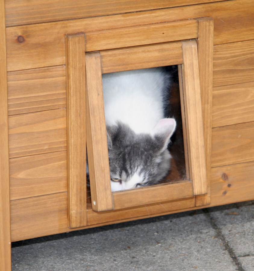 Cat House Lodge,Pet,Cat Su  - Albert Kerbl GmbH