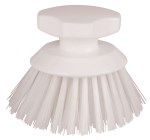 Round-headed Brush