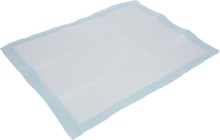 Training Pad