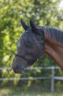 Fly Mask with Ear Protection and Nostril Cord