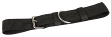 Neck Strap