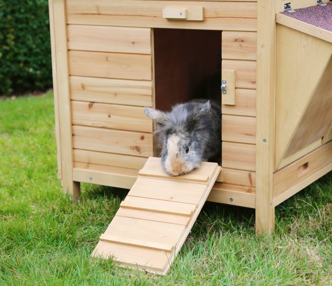 roger xl rabbit hutch
