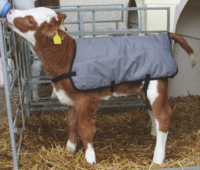 Calf blanket Ripstopp,Agri Albert Kerbl GmbH