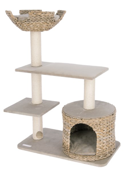 cat tree banana leaf