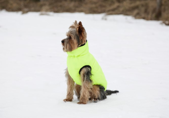 3 peaks dog coat small top