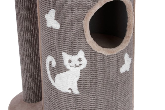 Alberto cat scratching post sale