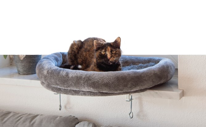 pet window bed