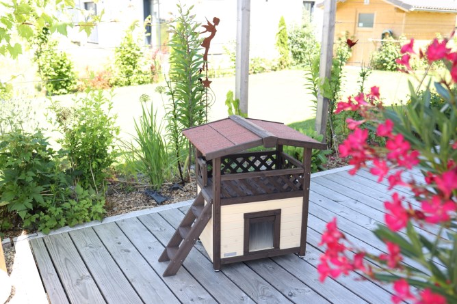 Maisonette outdoor cat sales house