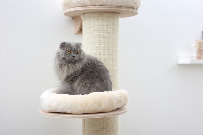 kerbl dolomit cat tree