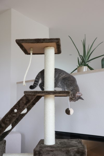 Kerbl clearance cat tree