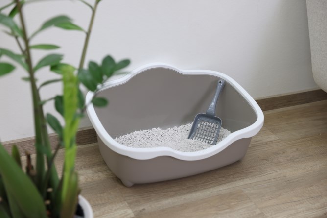 Square online litter box