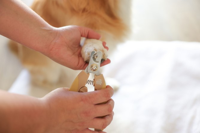 No pain dog nail hot sale clippers