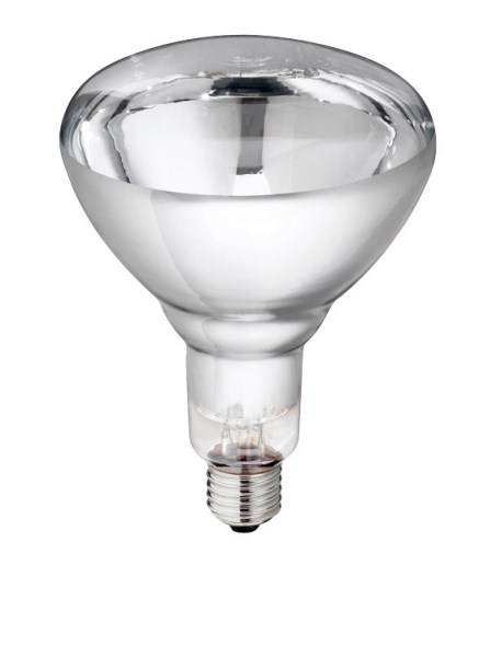 Philips Tempered Glass Inf Albert Kerbl GmbH