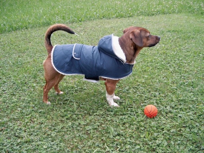 Kerbl dog raincoat cheap