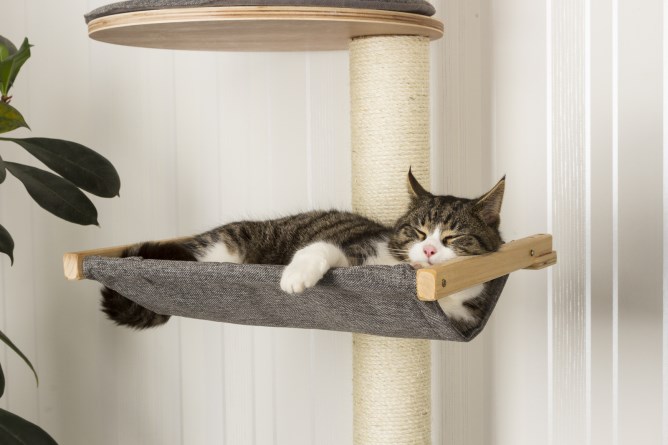 Kerbl cat tree top