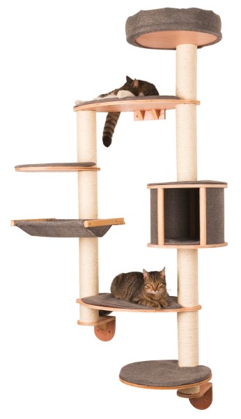 Dolomit cat hotsell tree