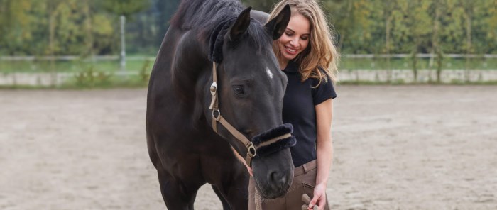 Kerbl Hybridweste/ Reitweste/ Vereins- oder Teamweste in schwarz ode