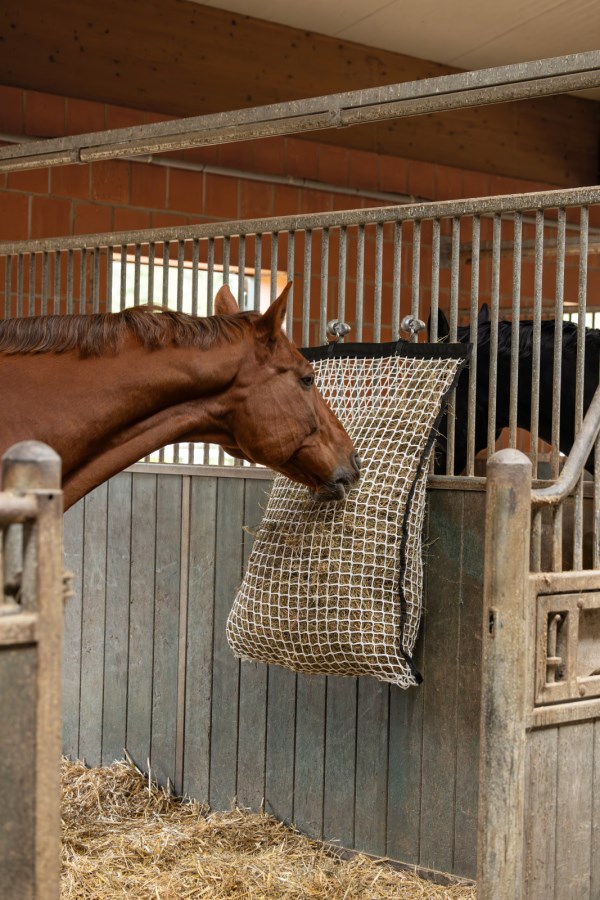 LON® filet à alimentation lente pour chevaux Filet à foin pour chevaux