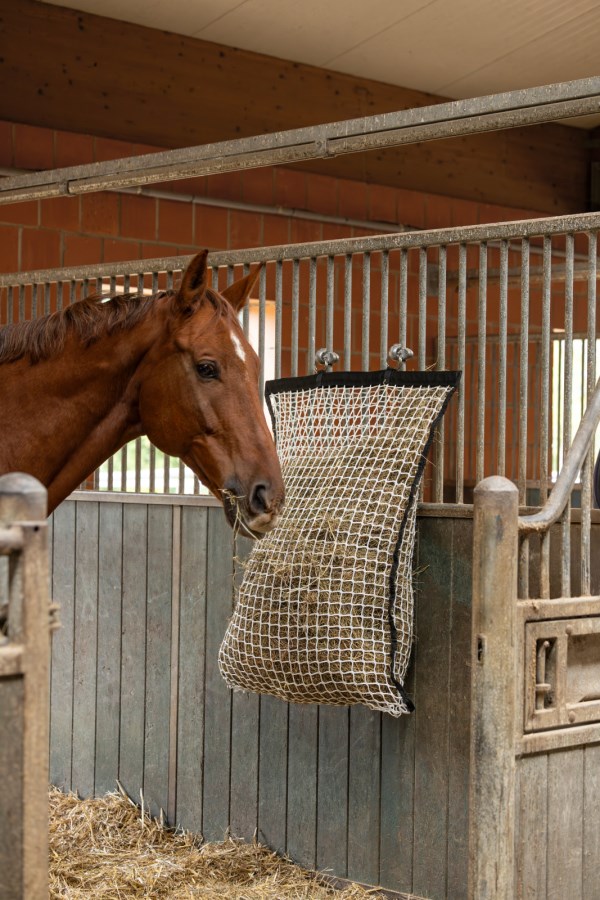 Novellaire Filet à foin rond épais et durable pour chevaux - Grande
