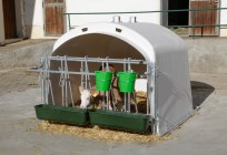 Niche collective pour veaux avec cornadis CalfHouse Premium XL