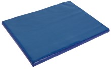 Tapis désinfectant