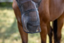 Masque anti-mouches avec protection des oreilles et naseaux