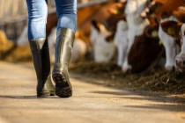 Dunlop® Bottes de sécurité Purofort® Professional S5