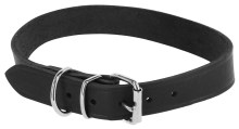 Collier pour chien Tuscany