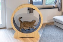 Roue d’exercice pour chat