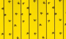 cit Feuilles attrape-mouches FlyMaster