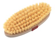 Brosse étrille dure