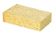 Éponge