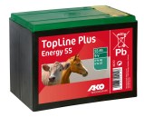 Pile zinc-carbone
