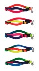 Collier pour chat Rainbow