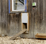Automatic Chicken Door Poultry Breeding Poultry Farming Auto