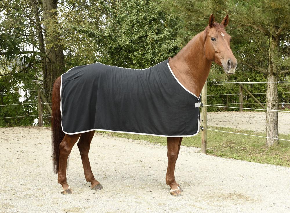 Kerbl RugBe Abschwitzdecke Economic Navy Polaire