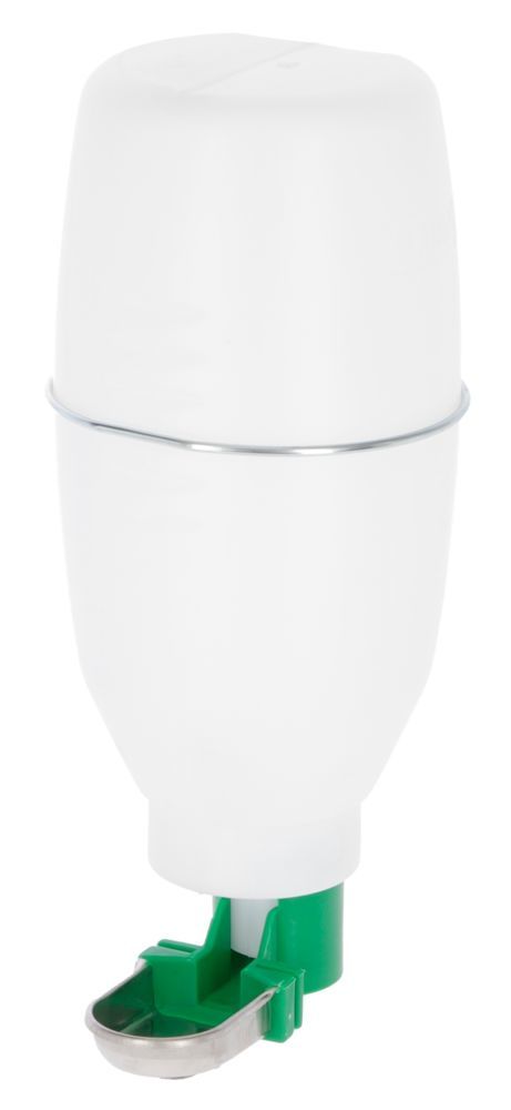 norfolk terrier and chihuahua mix