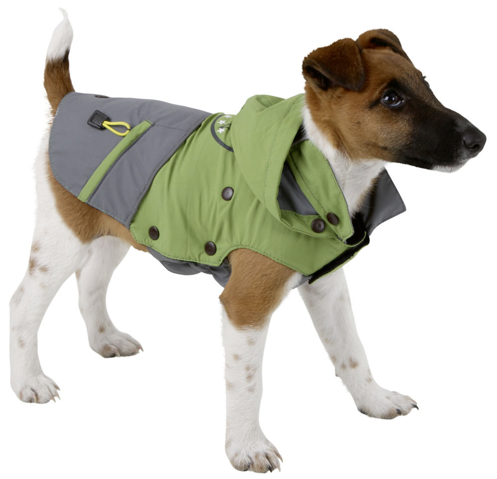 Green dog coat Clearance