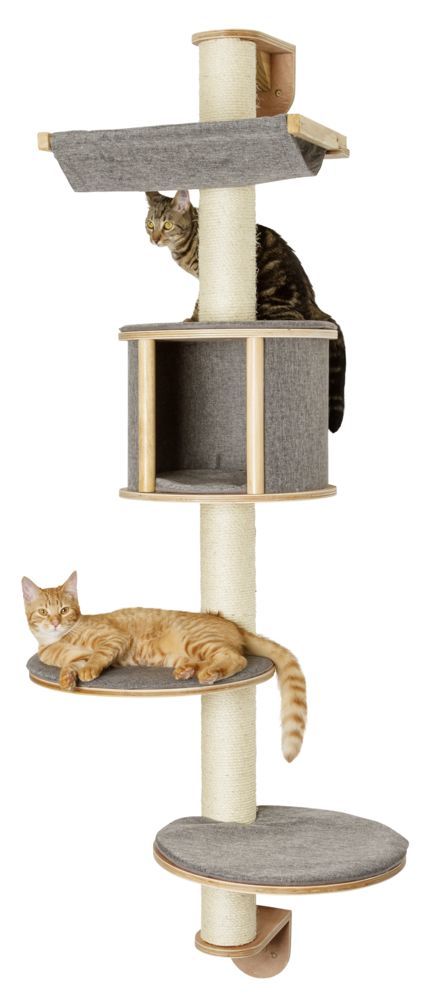 Wall Mounted Cat Tree Dolomit Tofana Cat Supply Cat Trees Rest Albert Kerbl Gmbh