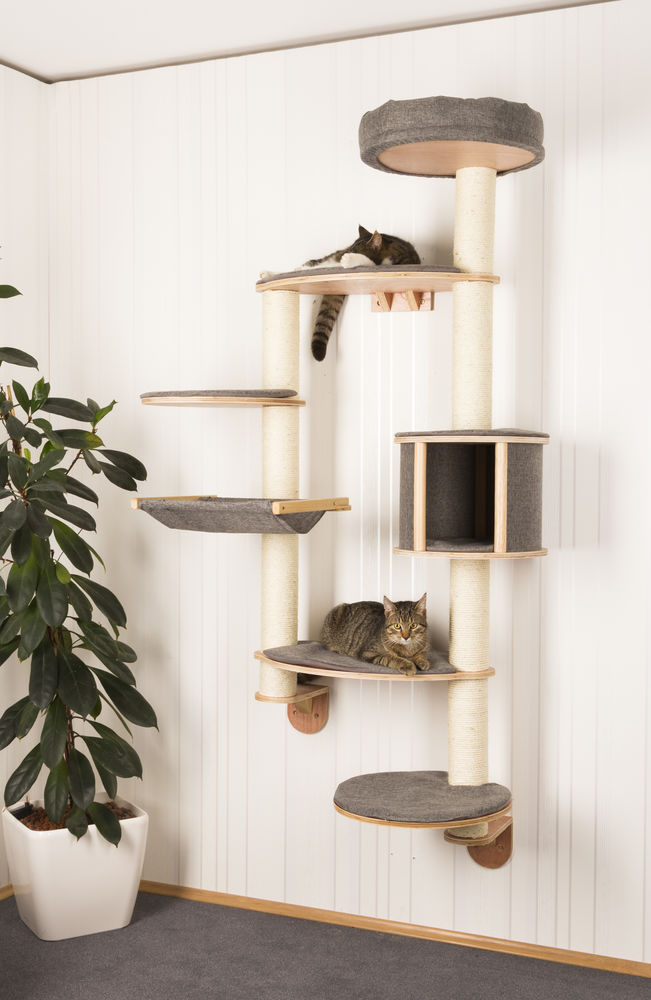 Arbre A Chat Mural Dolomit Xl Tofana Accessoires Pour Chats Ar Albert Kerbl Gmbh Arbre A Chat Mural Dolomit Xl Tofana Accessoires Pour Chats Ar Albert Kerbl Gmbh