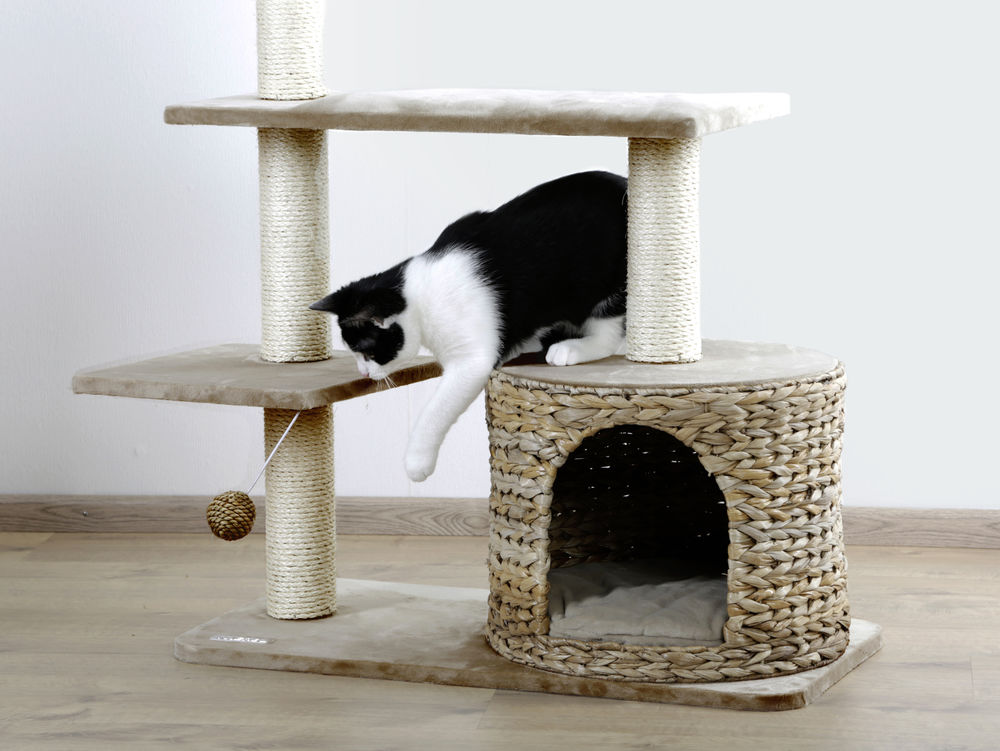 Arbre A Chat Banana Leaf Jade Accessoires Pour Chats Arbres A Albert Kerbl Gmbh