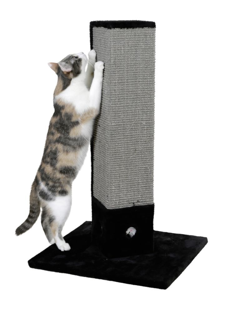 Arbre A Chat 4 Corner Accessoires Pour Chats Arbres A Chat C Albert Kerbl Gmbh Arbre A Chat 4 Corner Accessoires Pour Chats Arbres A Chat C Albert Kerbl Gmbh