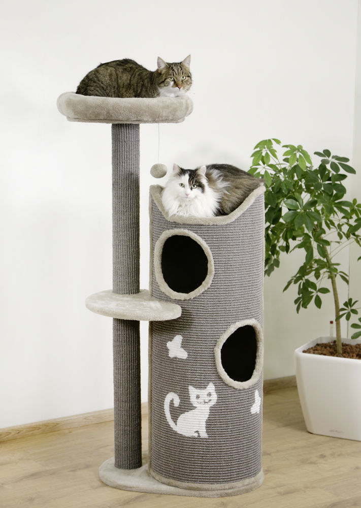 Arbre A Chat Tiana Accessoires Pour Chats Arbres A Chat Cous Albert Kerbl Gmbh Arbre A Chat Tiana Accessoires Pour Chats Arbres A Chat Cous Albert Kerbl Gmbh