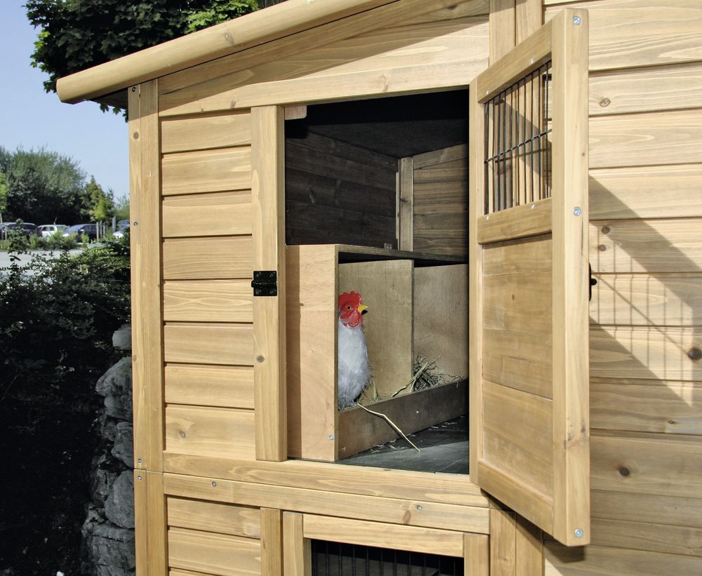 Hen House Poultry Breeding Poultry Farming Hen House Agric