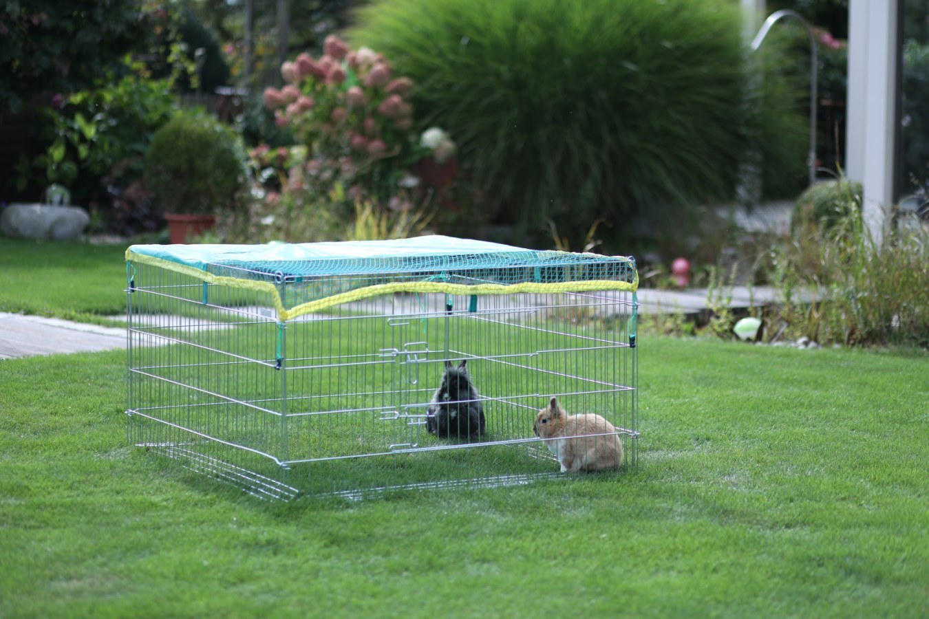 Recinzione Esterna Per Animali Kerbl - 220x115x75 Cm Con Copertura E Anti-fuga