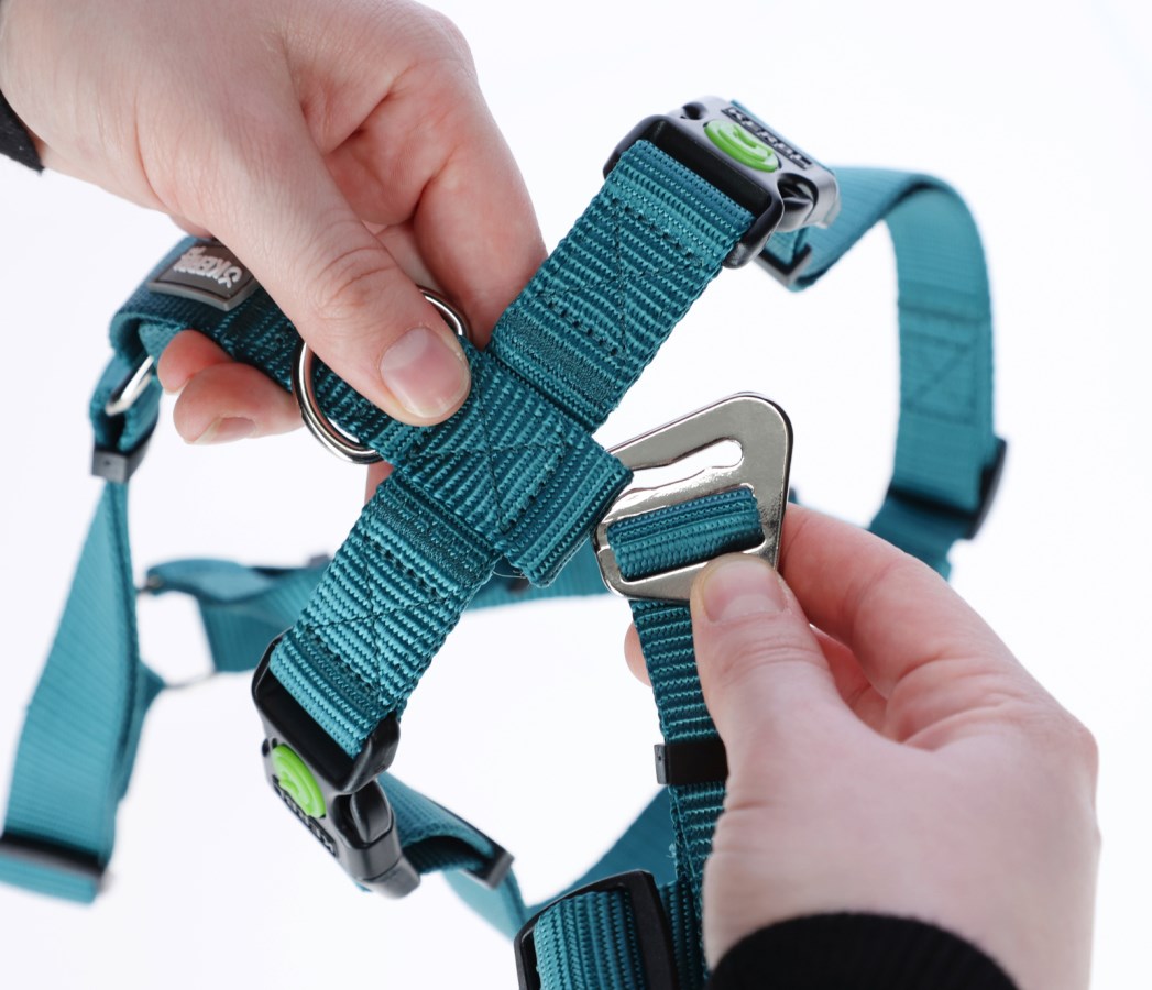 Pettorina Antipanico Kerbl Miami Per Cani Ansiosi - Grigio, Taglia Unica - Foto 10